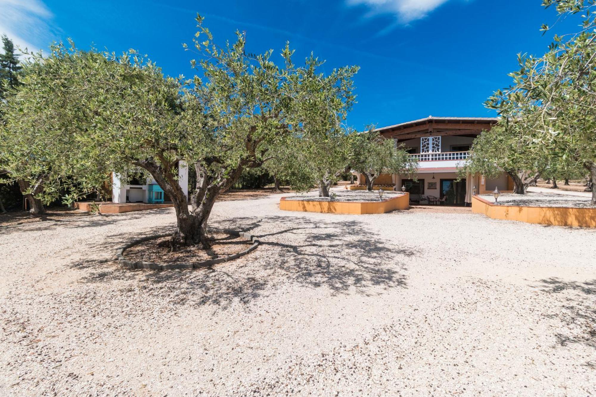 דירות אורוסיי Rustico Degli Ulivi מראה חיצוני תמונה